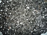 Confection (Non oil) Sunflower Seeds