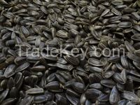 Black Sunflower Seeds