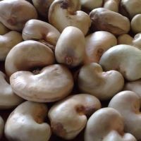 Raw Cashew Nuts  grade A origin Tanzanian