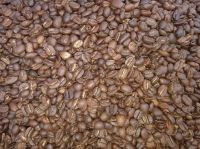 Green coffee beans Arabica / Rubista  Origin Tanzania