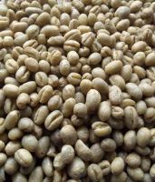 Green coffee beans Arabica / Rubista  Origin Tanzania