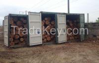 Pine wood logs and Timber for export