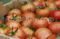 Tomatoes