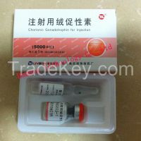 HCG5000iu  Human Chorionic Gonadotropin