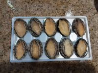 Frozen Cooked Abalone