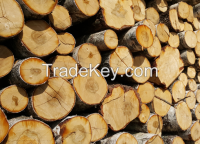 Birch wood materials ( Logs, Unedged birch boards, lamellas, frame grade and further more. )