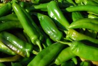 Green hot pepper