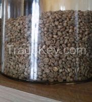 Frestaco indonesian luwak/civet coffee green bean