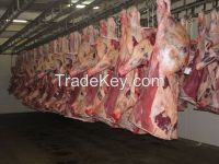 Fresh Beef Meat For Sale