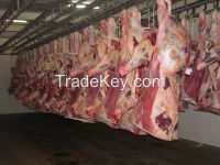 Clean Frozen Red Halal Beef Meat For Sale