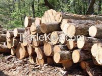 Timber Wood