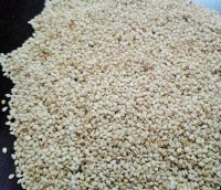  QUALITY SESAME SEEDS For Sale At AFFORDABLE PRICES 