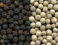 Black Pepper / White Pepper