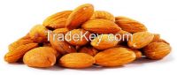 Raw Almonds Nuts