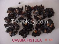 Cassia Fistula Extract