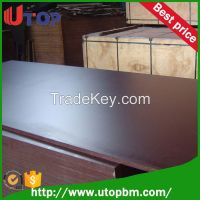 plywood film faced plywood commercial plywood melamine plywood