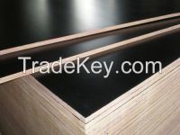 top quality , full sizes shuttering concret plywood/ commercial plywood /bintangor plywood