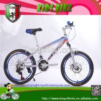 20 inch kids bicycle for boys mini bike for student