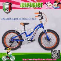 20 size steel frame student bike fat tires kids bicycle