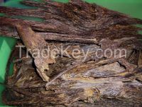 agarwood