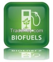 Biodiesel (B100)