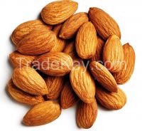 Almond Nuts