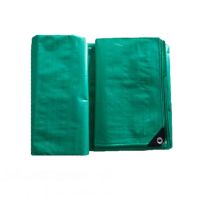 Double green color PE tarpaulin in roll for agriculture & industrial covers
