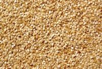 High Quality Grade A Sesame Seeds | Nigeria