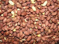 Grade A High Quality Peanut from Nigeria