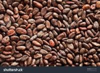 Grade A High Quality Raw Cocoa Beans