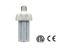60W LED Corn light DYM-60-03Series