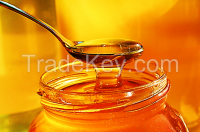Fresh and 100% Natural Honey