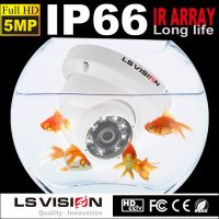 LS Vision cheap 2mp dome ip camera,celling mount video camera,ce rohs camera waterproof
