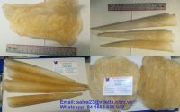 DRIED PANGASIUS FISH MAW (AAA) - VERY HIGH QUALITY FROM  VIETNAM