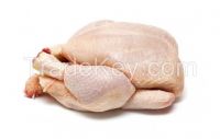 FROZEN WHOLE CHICKEN HALAL 