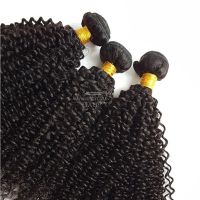 Brazilian/malaysian/peruvian/indian Virgin Human Hair Weft 8a