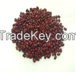 Ethiopian Red kidney Beans