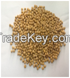 Ethiopian soybeans