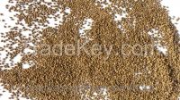 hulled millet