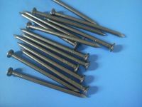 Polished Common Nails/ common iron nail /common wire nail