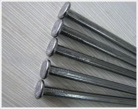 Hot sale ! common iron nail/common wire nail