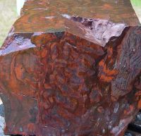 stromatolite