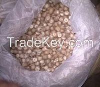 https://ar.tradekey.com/product_view/Areca-Nuts-Betel-Nuts-8320461.html