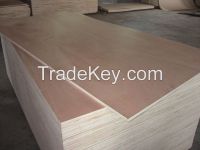 Okoume face/back plywood, furniture grade plywood, packing grade plywood, water proof plywood, construction plywood