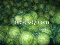 Cabbages, 300$/ton - White, Chinese