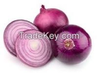 Onion 320$/ton - Yellow, White, Red  Min order 20t.