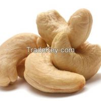 Anacardium occidentale