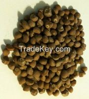 Voacanga africana seeds