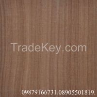 Airolam Laminate Distributor in Kalol