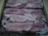 Sell SEAFROZEN SQUID LOLIGO CHINESE WITH IG SIZES FROM VIETNAM